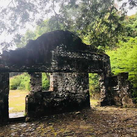 Pousada Morro Do Pico فرناندو دي نورونها المظهر الخارجي الصورة