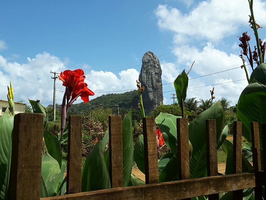 Pousada Morro Do Pico فرناندو دي نورونها المظهر الخارجي الصورة